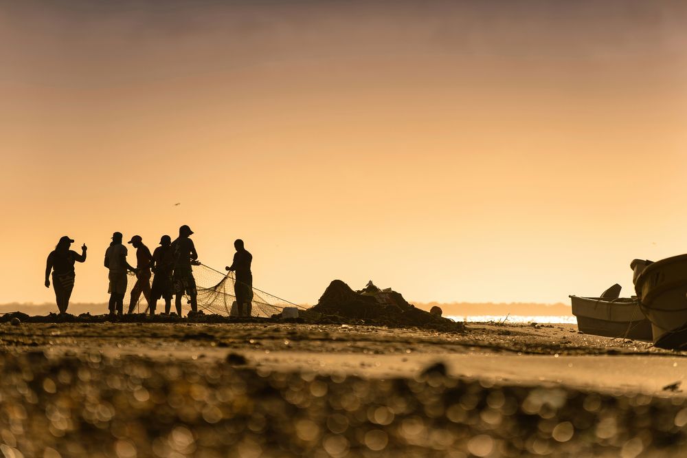 Фотография автора David Vargas