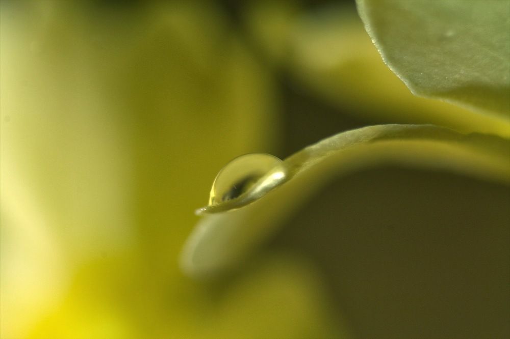 Photograph by Josema Dieguez Rodriguez