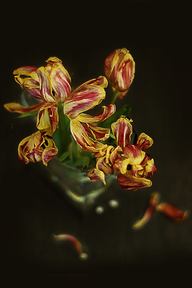 Photograph by Екатерина Слесарева