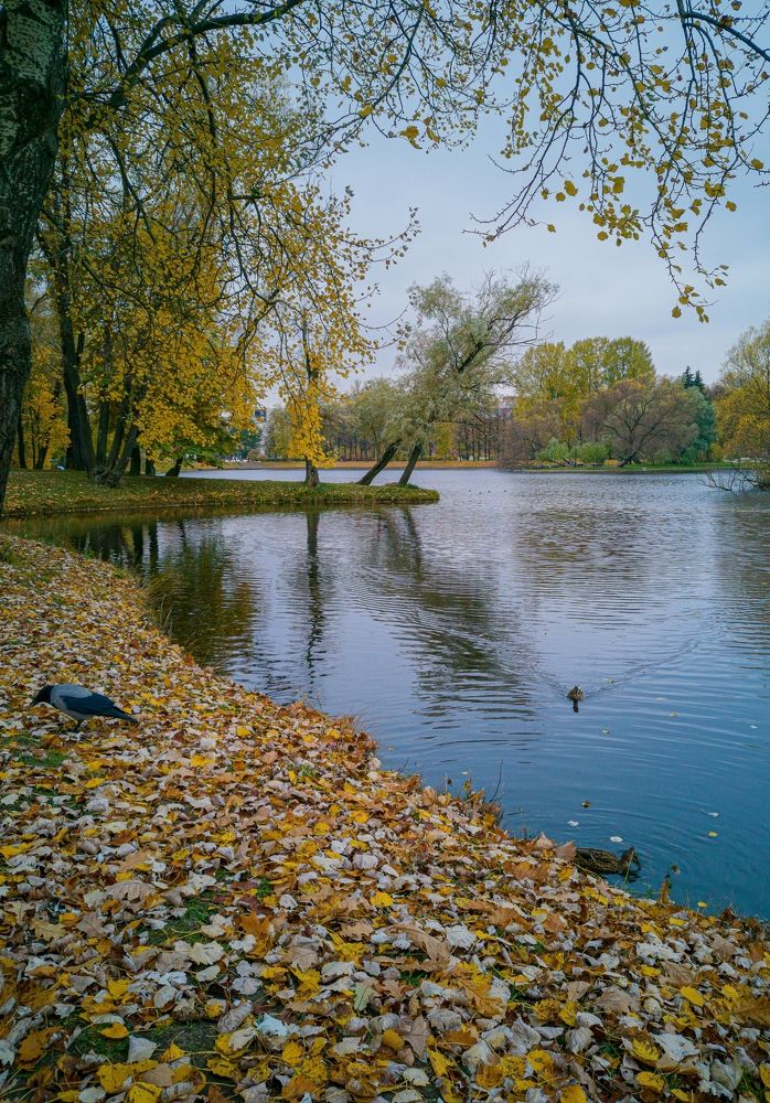 Photograph by Виктория Федосеенко