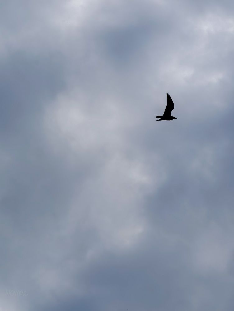 Photograph by Евгений Порсов