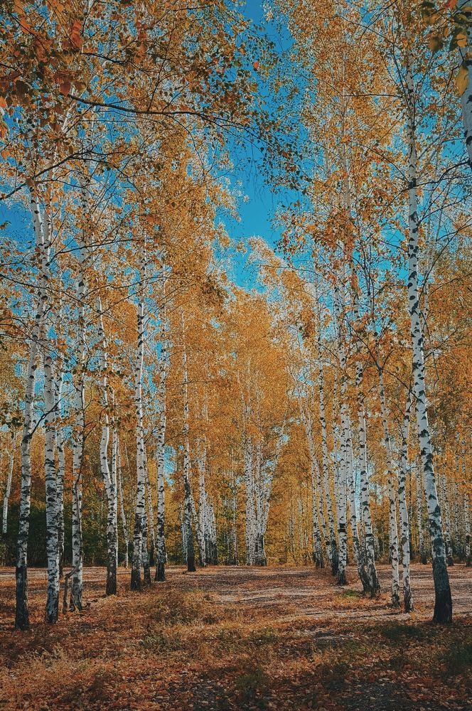 Photograph by Александра Ковалёва