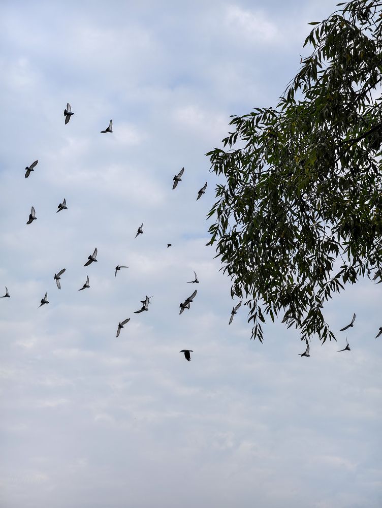 Photograph by Евгений Порсов