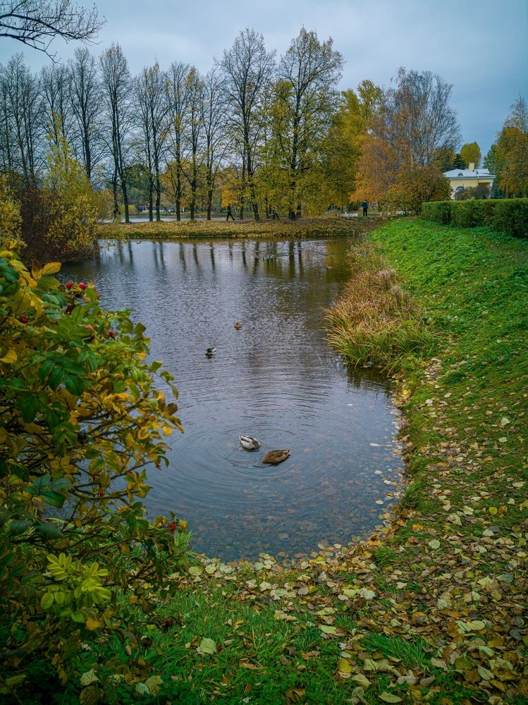 Photograph by Виктория Федосеенко