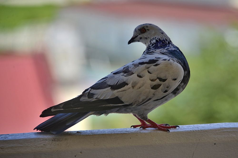 Photograph by Вадим Гераскин