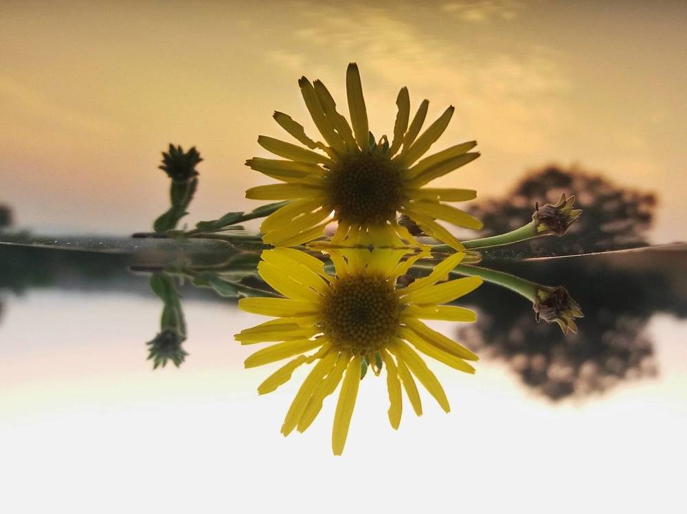 Фотография автора Jayesh Rajput