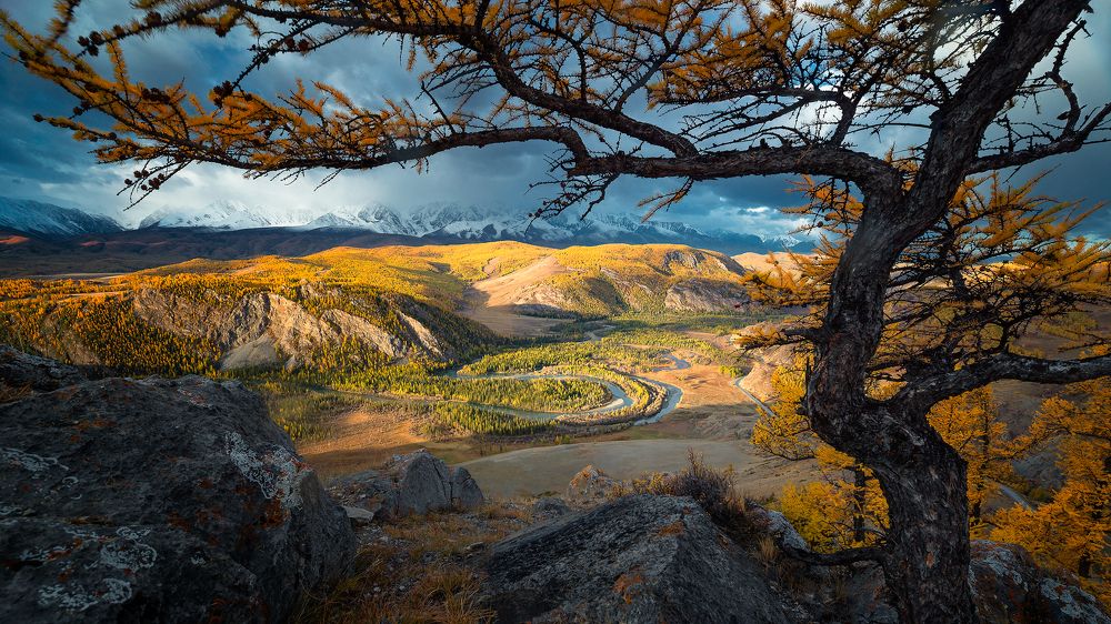 Photograph by Андреев Сергей