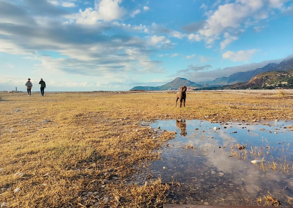 Photograph by Владимир Приходько