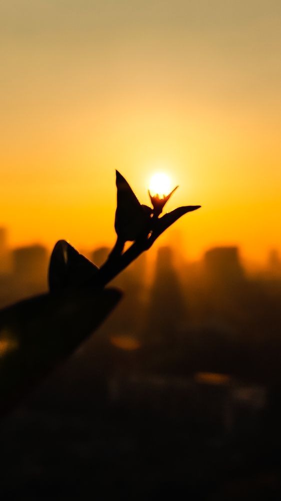 Photograph by Ritu Maheshwari