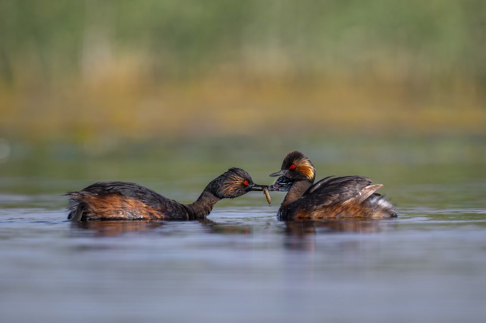 Photograph by Ricardo Núñez Montero