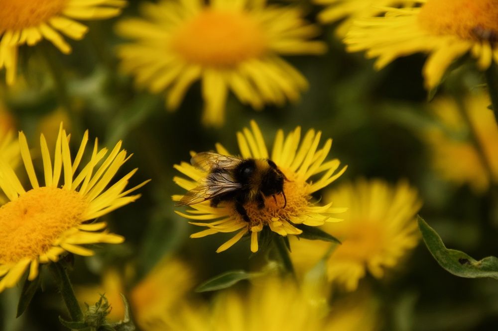 Photograph by Митюшкова Алёна