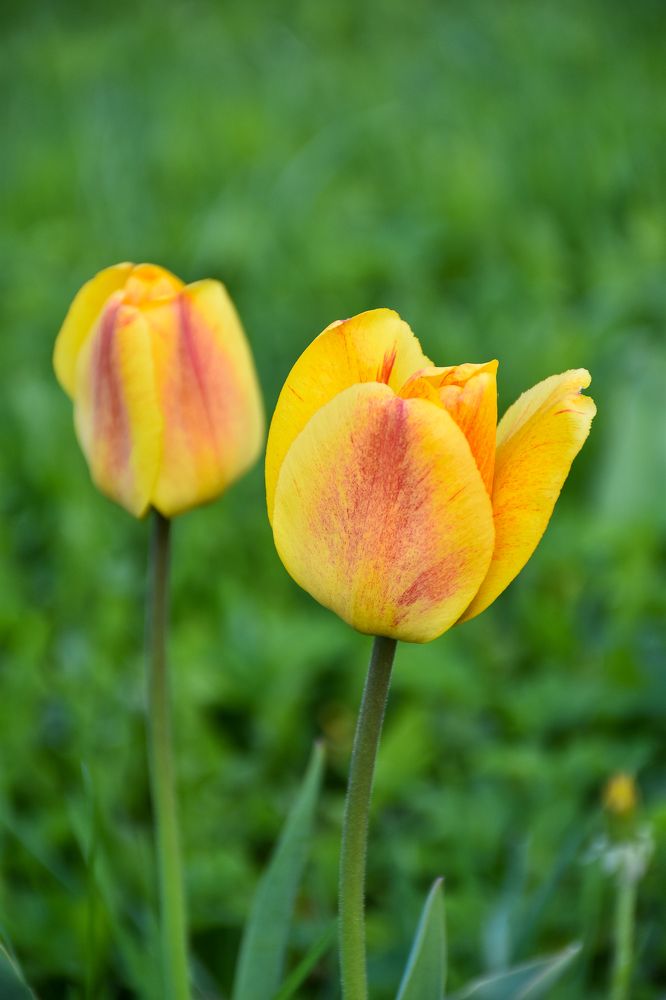 Photograph by Дмитрий Петров