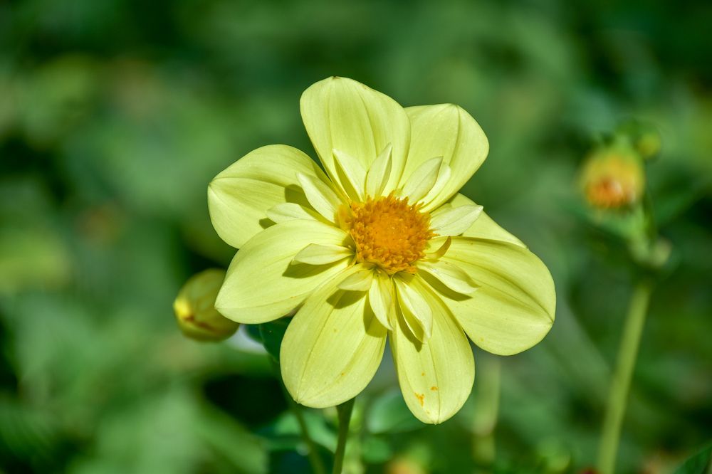 Photograph by Дмитрий Петров