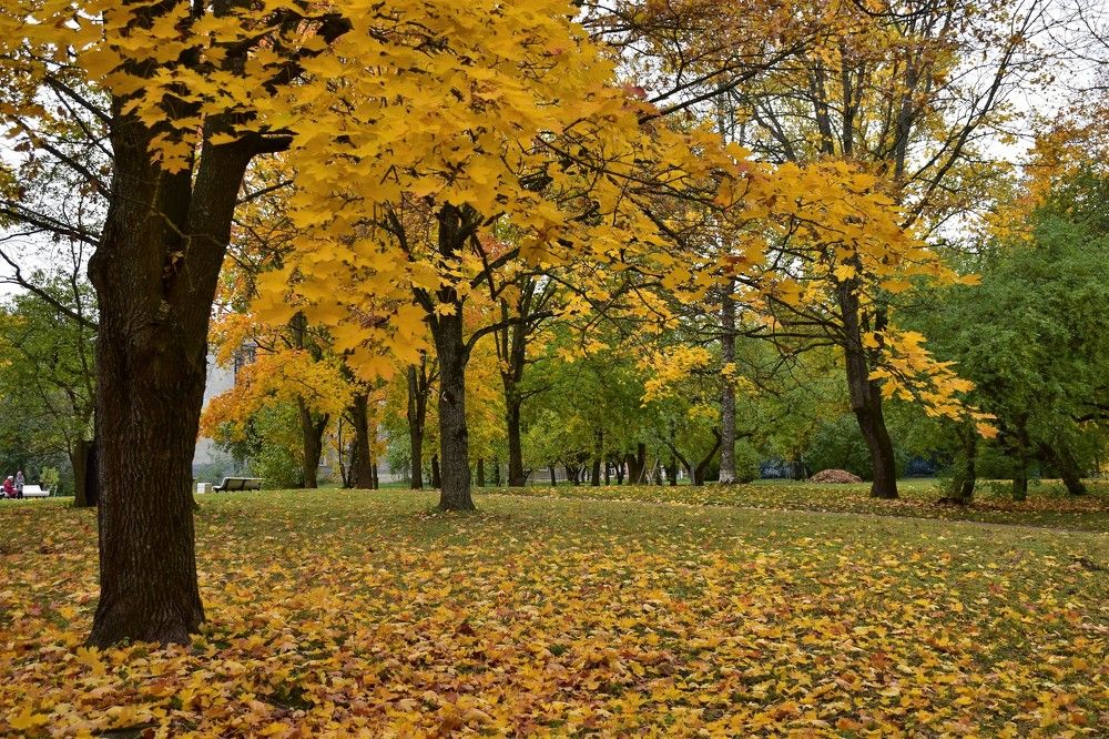 Photograph by Дмитрий Петров