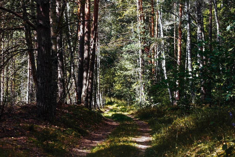 Photograph by Анна Леонова