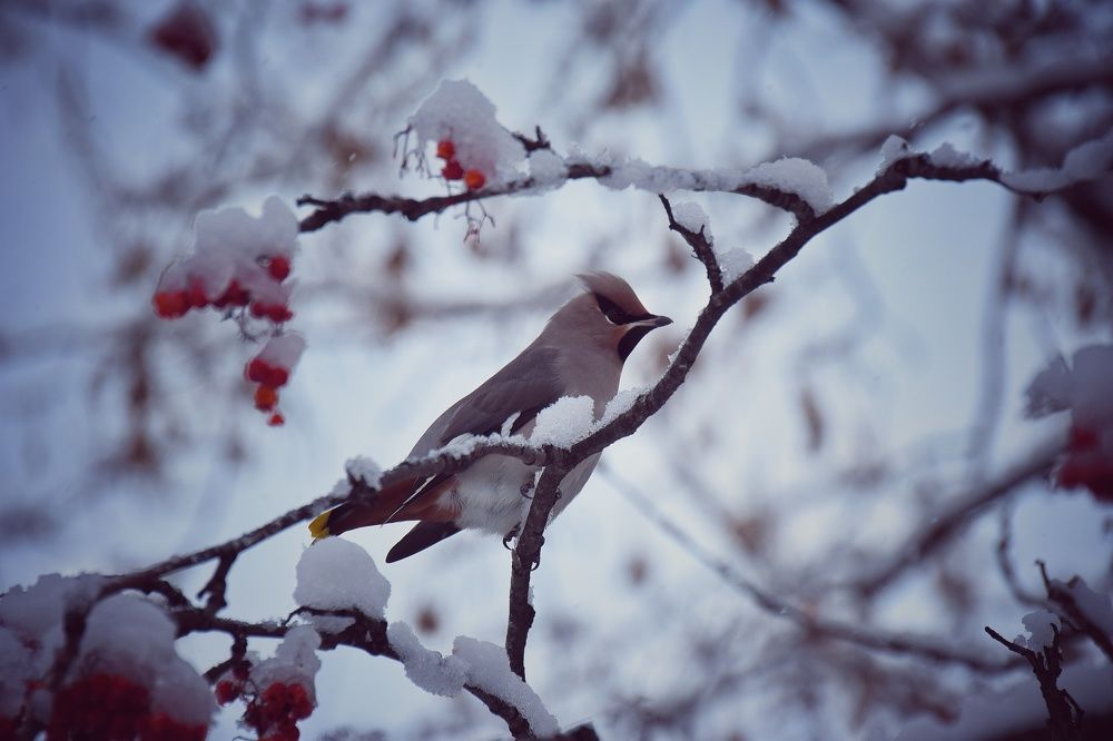 Photograph by Митюшкова Алёна