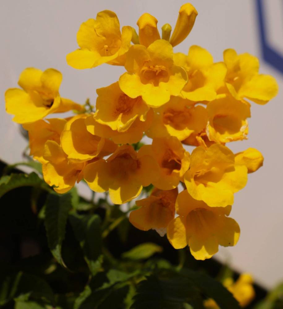 Photograph by Людмила Бутова