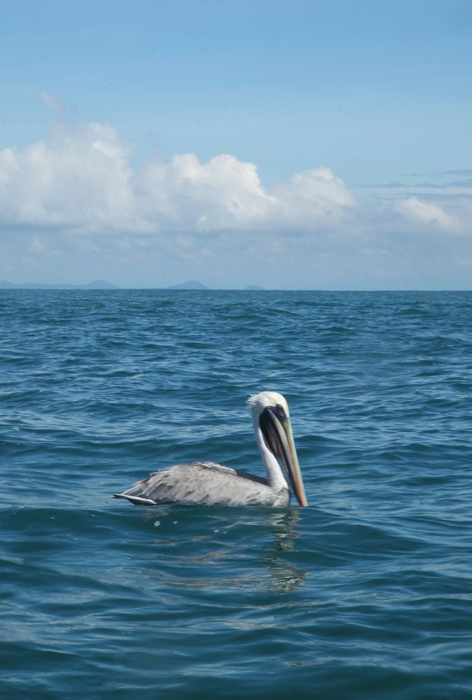 Photograph by Евфросиния Капустина