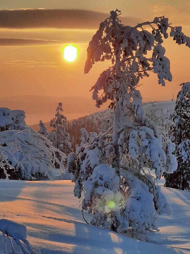 Photograph by Алексей Акимов