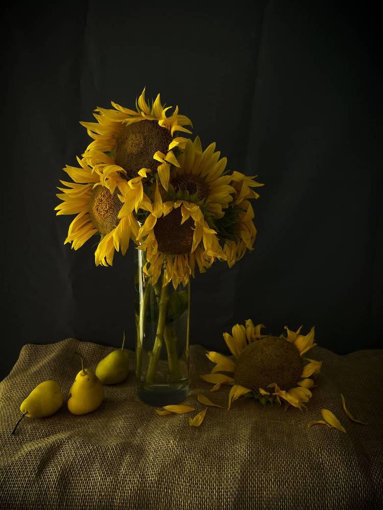 Фотография автора Рамзия Хисамутдинова