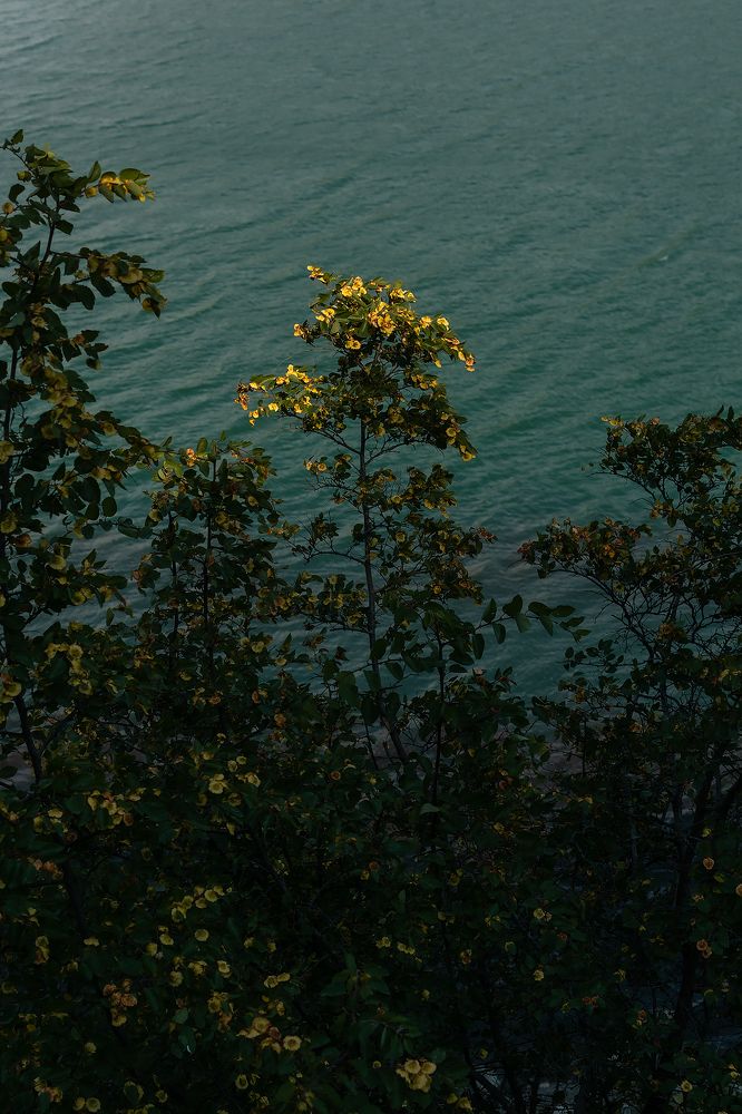 Photograph by Егор Ставер