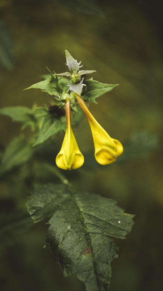 Фотография автора Марина Алексеевская