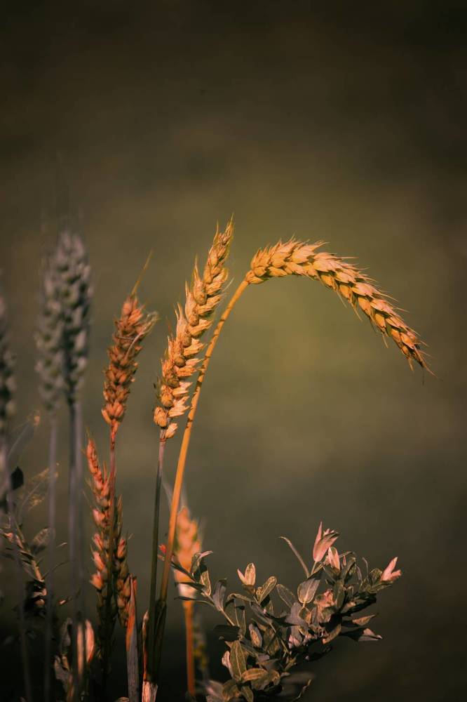 Photograph by Dina Garipova
