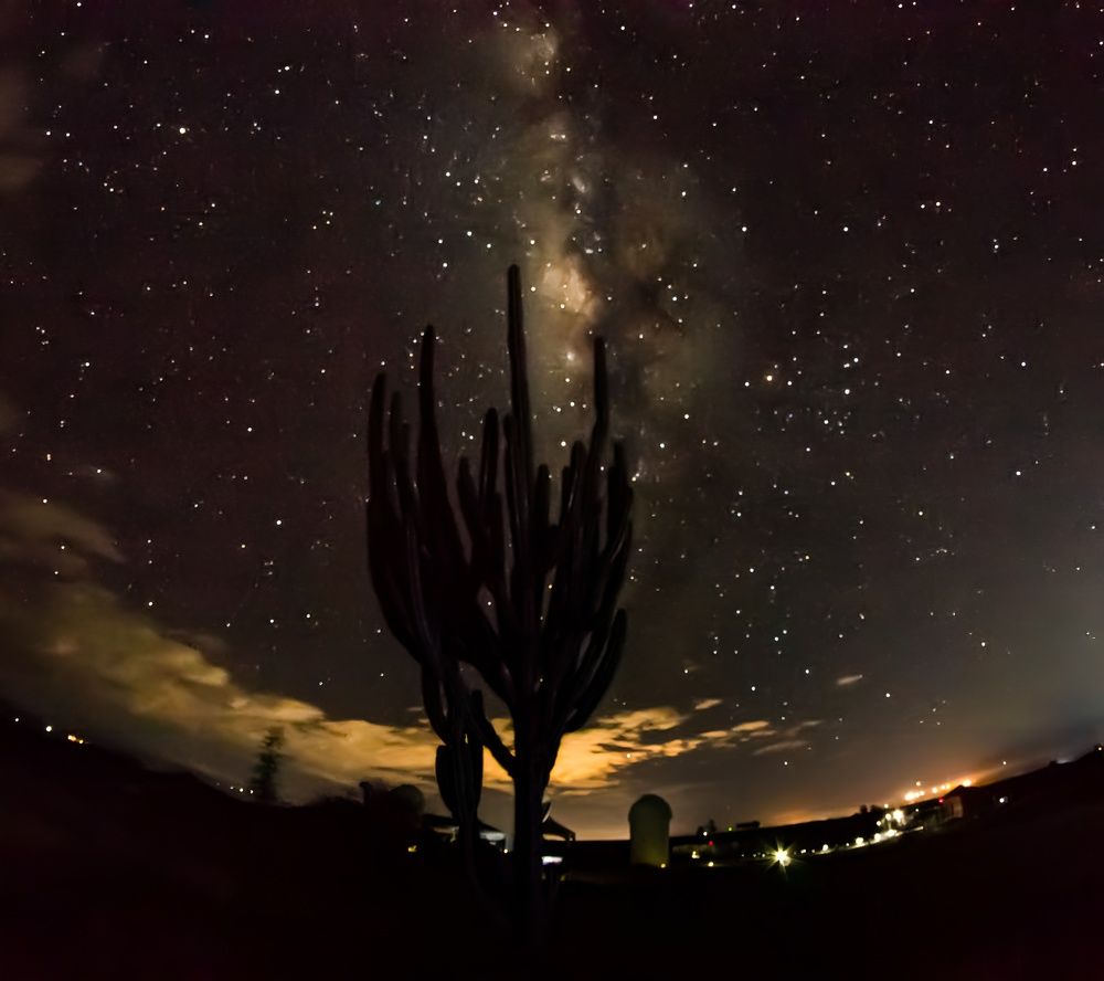 Photograph by Jair Lozano