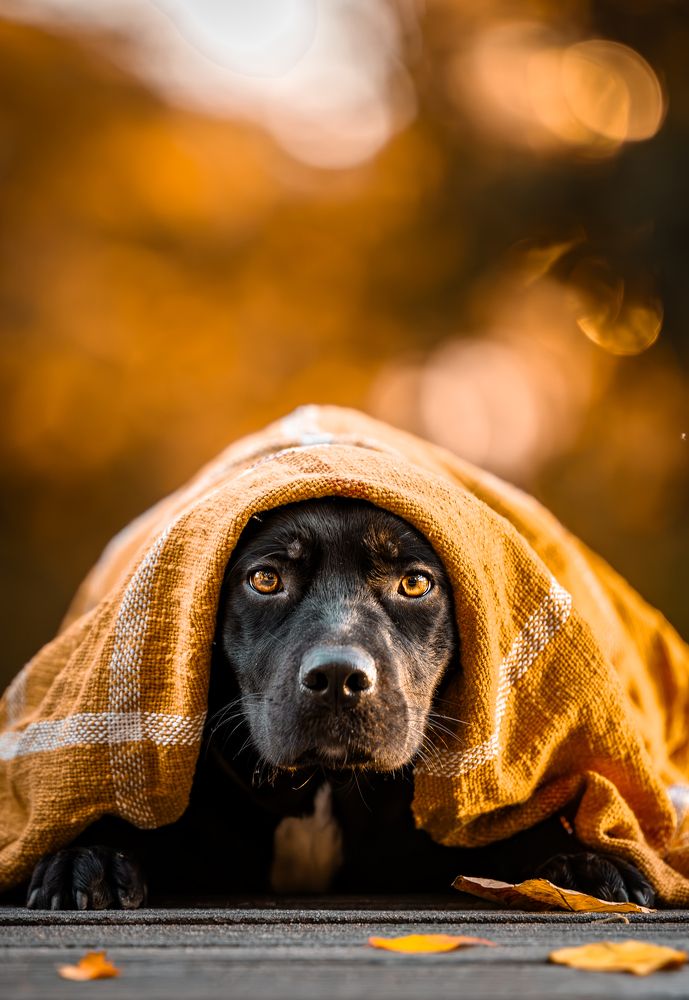 Photograph by Shanna van Mens