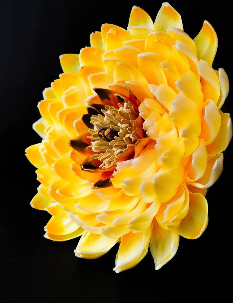 Photograph by Максим Зенкевич