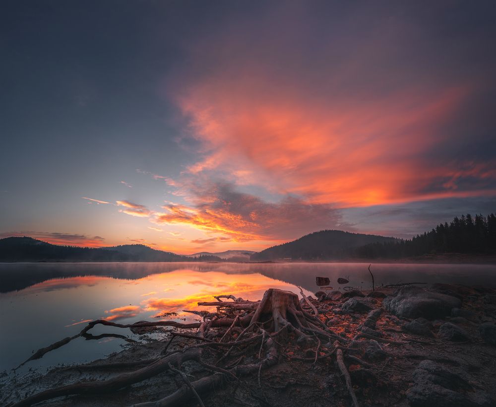 Фотография автора Александър Александров