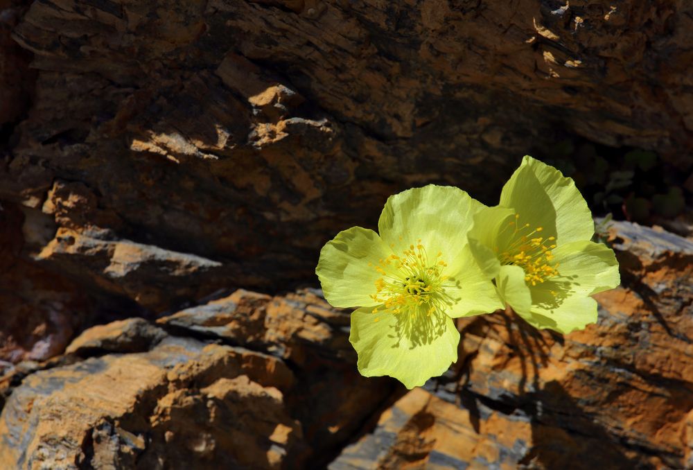 Photograph by Vladimir Melnik