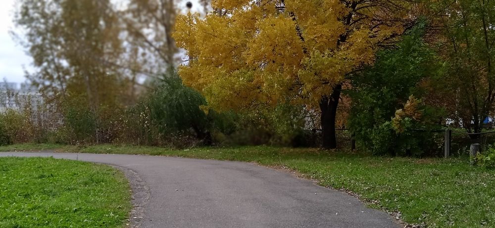 Photograph by Наталья Сорокина