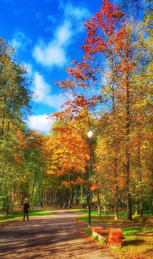 Фотография автора Алёна Михайлова