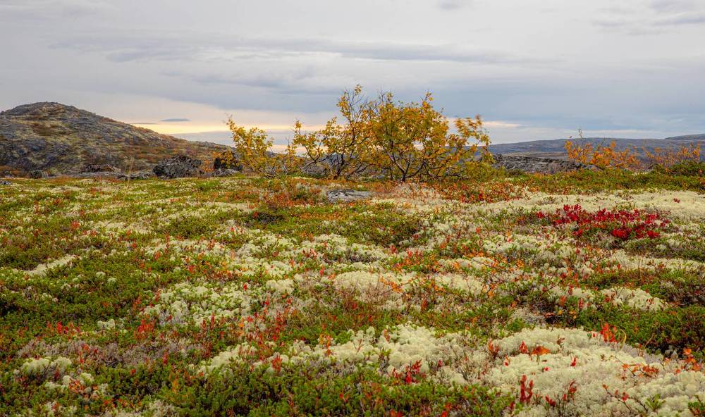 Photograph by Елена Данченко