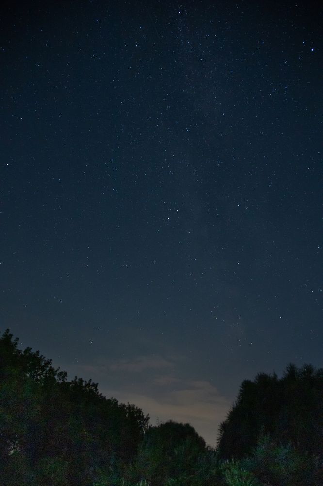 Photograph by Галина Молчанова