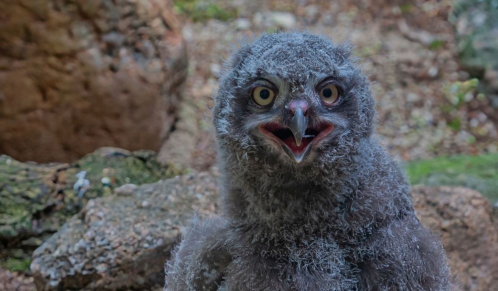 Photograph by yuri kutukov