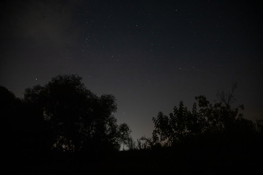 Photograph by Галина Молчанова