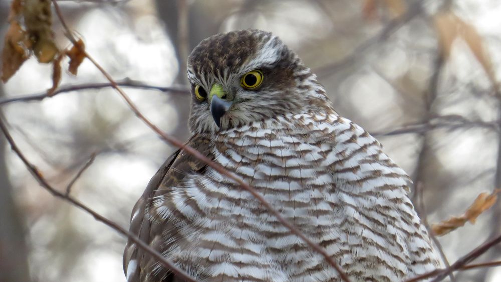 Photograph by Alexsandr Gl