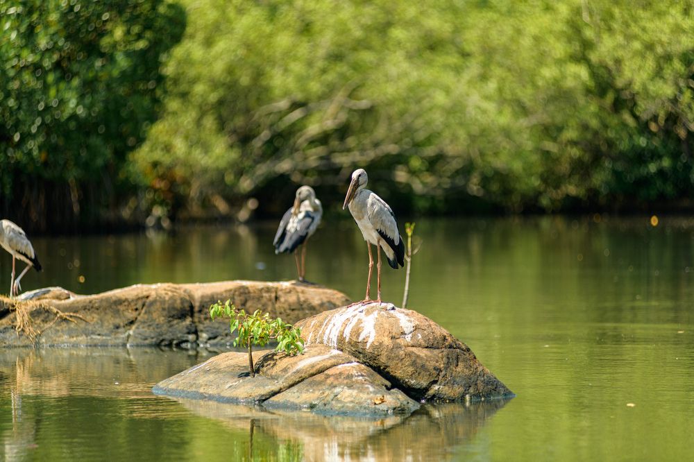 Photograph by Владимир Скранжевский