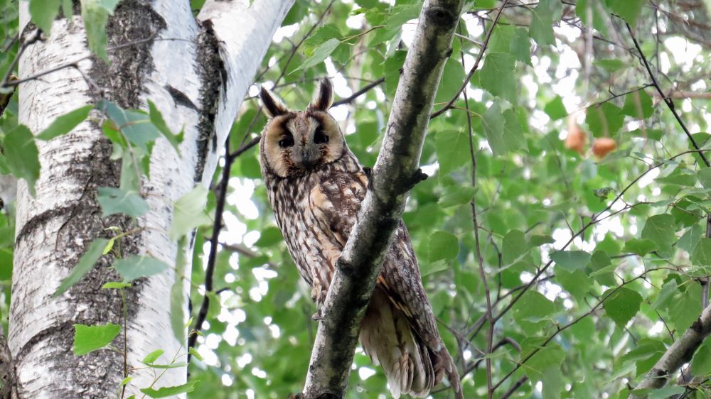 Photograph by Alexsandr Gl