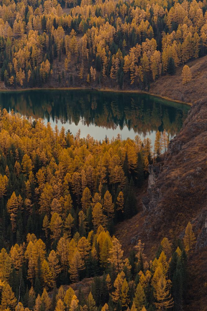 Photograph by Елена Горина