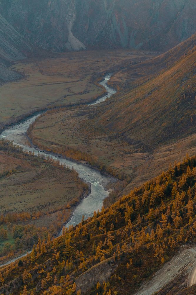 Photograph by Елена Горина