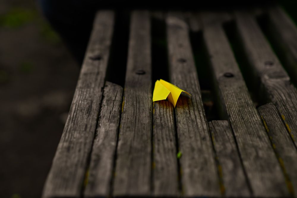 Фотография автора Olga Shchetinina