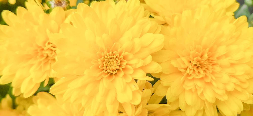 Фотография автора Светлана Дунаева