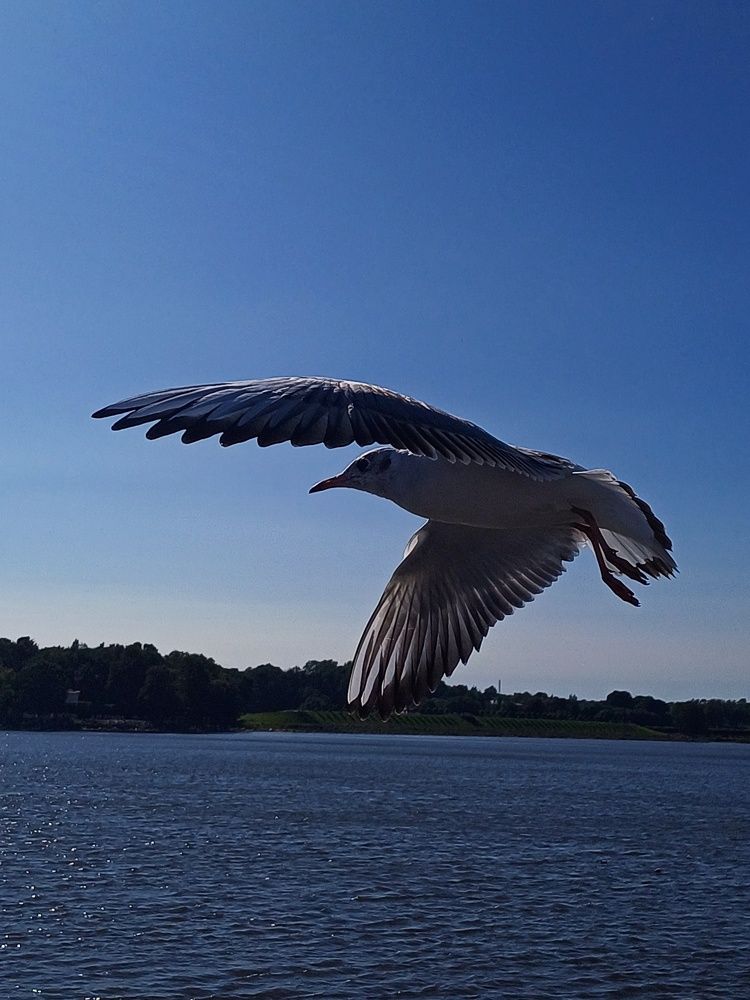 Photograph by Anastasiya Danilova