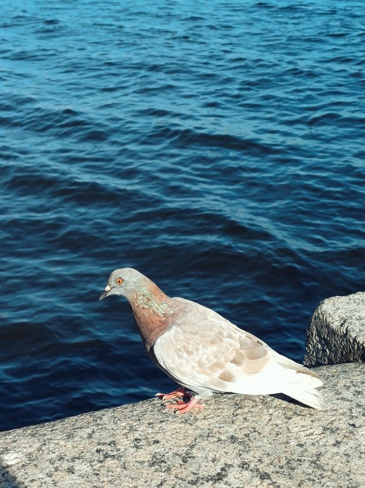 Photograph by Anastasiya Danilova