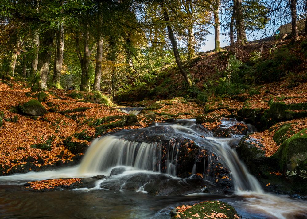 Photograph by Anatoly Chomko