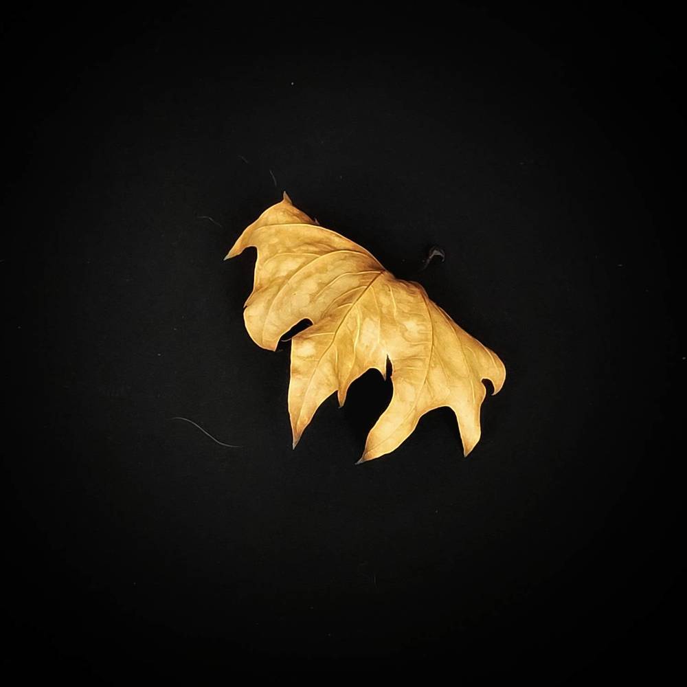 Photograph by Catherine Walter-Prêtre