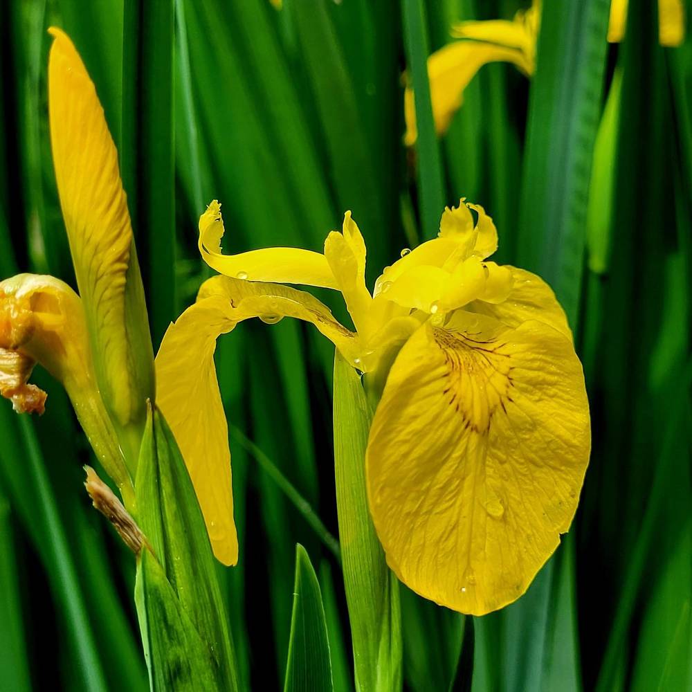 Photograph by Catherine Walter-Prêtre